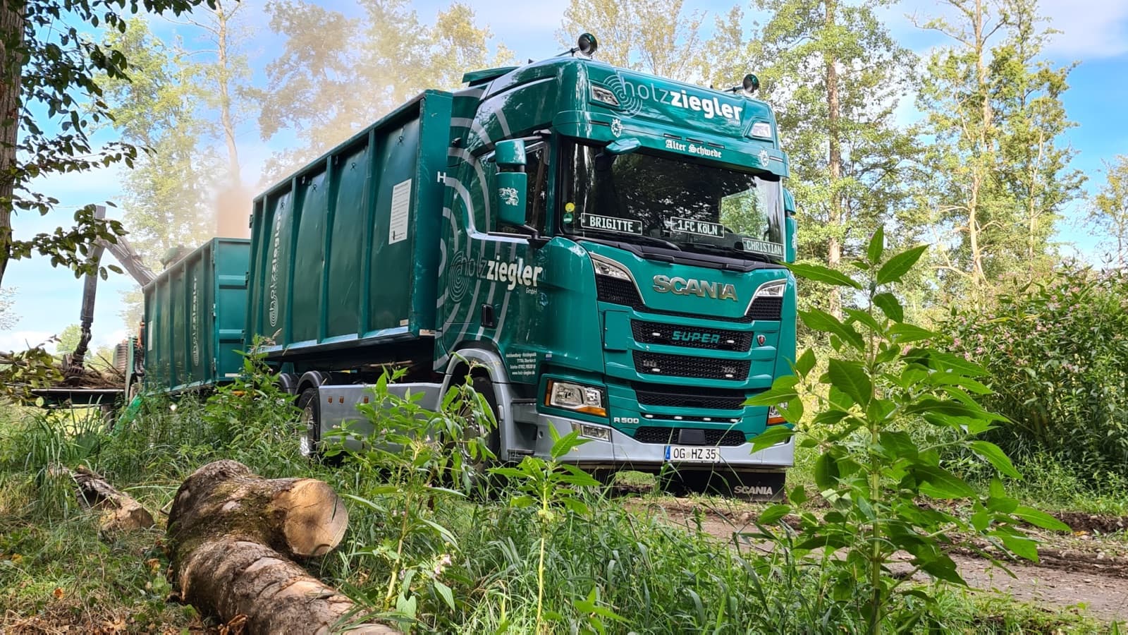 Abrollcontainerfahrzeug von Holz Ziegler auf einem Waldweg, im Vordergrund gefällte Stämme